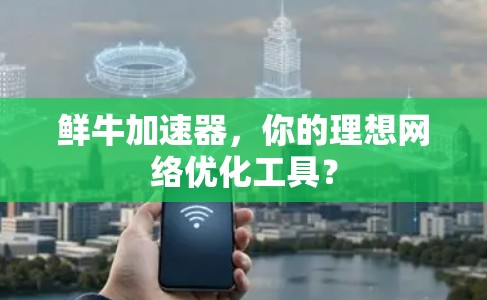 鲜牛加速器，你的理想网络优化工具？