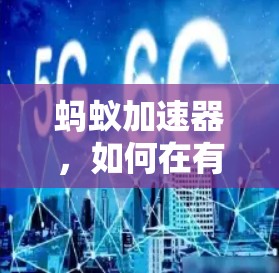 蚂蚁加速器，如何在有限预算中提升下载速度？