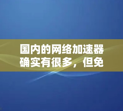 国内的网络加速器确实有很多,但免费版的数量和质量可能会有所不同。以下是一些国内知名的网络加速器及其免费版的情况
