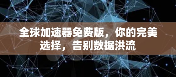 全球加速器免费版，你的完美选择，告别数据洪流