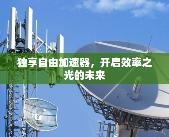 独享自由加速器，开启效率之光的未来
