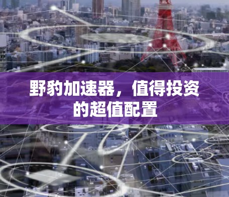 野豹加速器,值得投资的超值配置