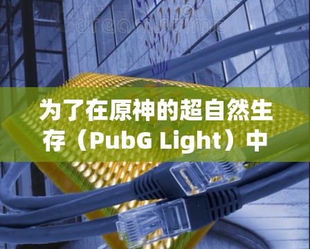 为了在原神的超自然生存（PubG Light）中提升性能，可以使用免费的加速器软件。以下是详细的步骤和建议