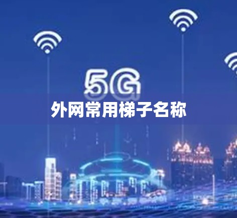 外网常用梯子名称